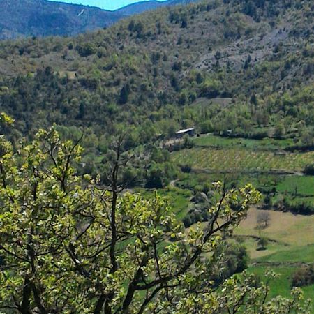 La Roche-sur-le-Buis Ferme La Viste 빌라 외부 사진