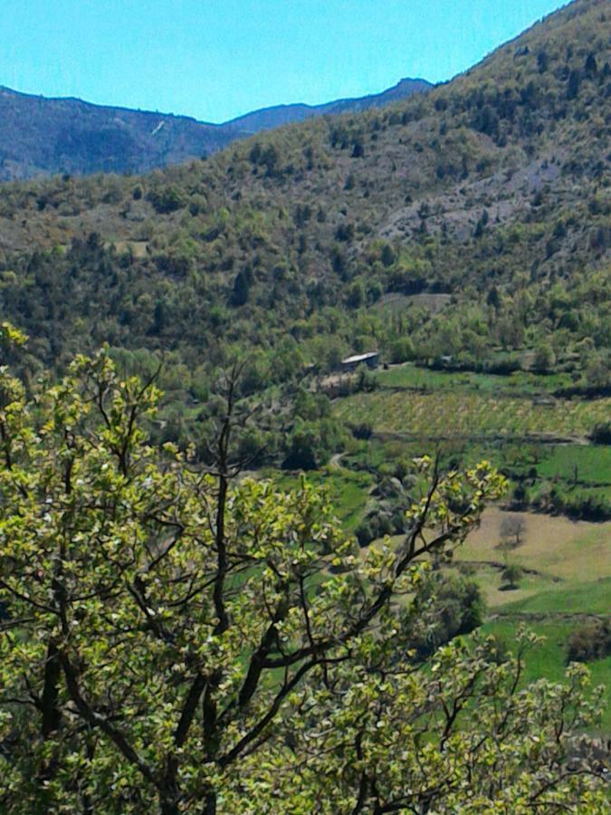 La Roche-sur-le-Buis Ferme La Viste 빌라 외부 사진
